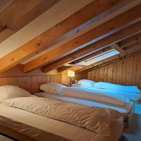 Pinot Gris Combles By Interhome Apartment Verbier